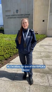 Our Senior Inspector Alice Lacey outside Waterford District Court talking about the outcome of her recent court case. If you can support our work by making a kind donation please donate here: 💙 www.ispca.ie/donations/ 💙 To read the full update on this case, please visit: www.ispca.ie/news-and-events/ | NSPCA Longford