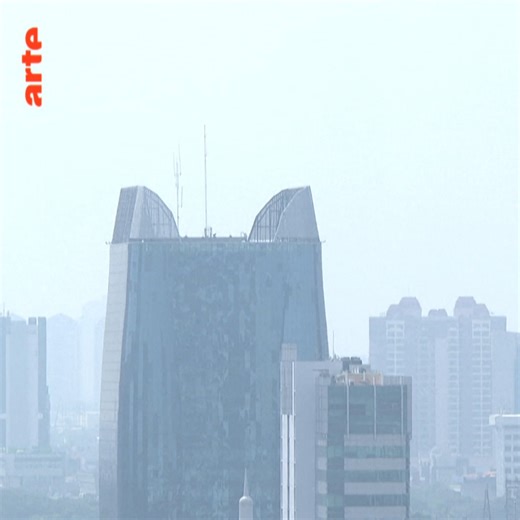 💨 Au quotidien, l'air que nous respirons est pollué. Les conséquences de cette pollution sur la santé sont inquiétantes. Et le réchauffement climatique n'arrange pas les choses, loin de là. 👇 | ARTE Info