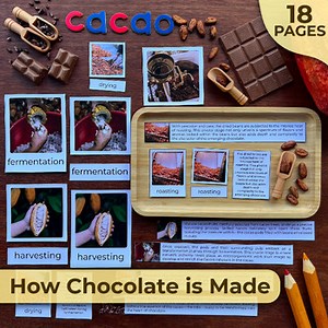 How Chocolate is Made | Chocolate Unit Study | Chocolate Activity Bundle