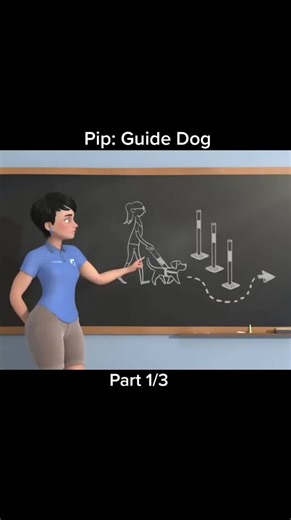 Pip: Guide Dog - Part 1 of 3 Short Film