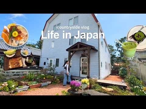 Living in Japan | spring in countryside japan, yummy japanese food, thrift shopping!