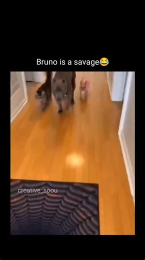 creative_soou on Instagram: "The post shares a 62-second video compilation depicting explosive windshield cracks from pouring hot water on frozen surfaces, urging viewers to idle their car at 2500 RPM for 10 minutes as a safer defrost method. With 4.5 million views and 500 replies, it sparked debate; multiple sources identify similar clips as AI-generated for virality, exaggerating cracks unlikely in laminated glass. Laminated windshields rarely shatter from thermal shock alone per automotive st