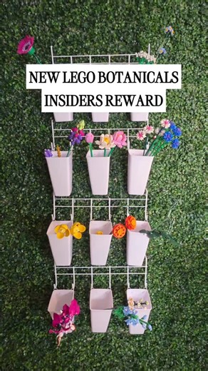A new LEGO Insiders reward just dropped 💐 The LEGO Botanicals Greeting Cards are available for 400 points and include four floral cards with envelopes. You’ll receive a promo code that ships with your next LEGO order and is valid for 60 days. This one is a small, thoughtful extra if you already collect LEGO Botanicals. #lego #legobotanicals #legoflowers #legobotanicalsgreetingcards #legolifestyle | nanibricks