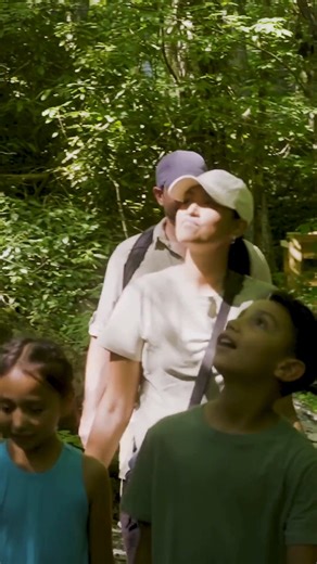 Lace up your boots and follow the trails to breathtaking waterfalls. https://visitcherokeenc.com/play/outdoor-adventure/waterfalls/ | Visit Cherokee