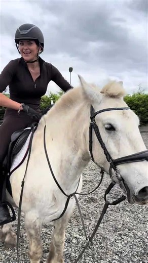 Dressage Rider Tries Show Jumping—Chaos and Laughter Ensue!