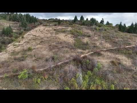 Klicker Mountain Rd