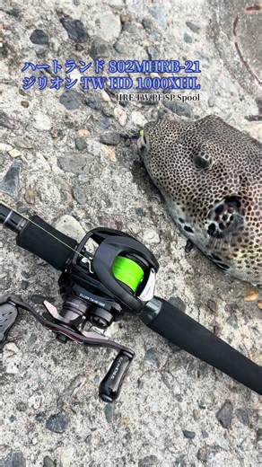 ハートランド 802MHRB-21 ジリオン TW HD 1000XHL HRF TW PE SP Spool #daiwa #ダイワ #fishing #フィッシング #釣り