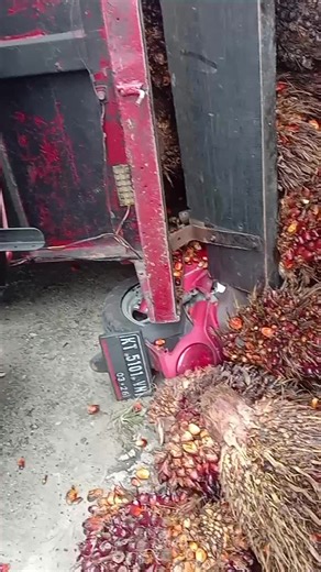 Kondisi Cuaca Hari Ini Menurut BMKG