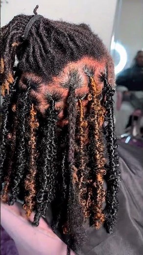 Learn Butterfly Locs | Over Locs