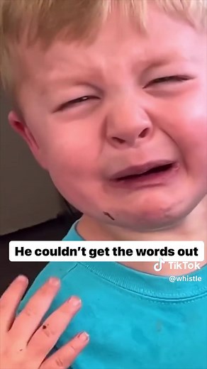 How I’d react to (via therealbrian_roberts/ig) #bug