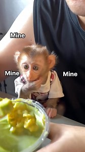 163K views · 2K reactions | #dailyreels #baby #kiki #monkey #pet #cute #monkeyfeeding #monkeylove.mp4 | Neymar Michael | Facebook