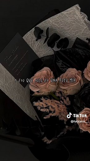 Plan B: Canciones Antiguas y Éxitos Secretos