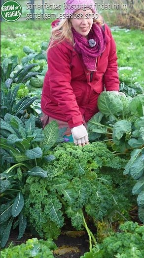 Frisches Gemüse aus dem Garten im Winter #gartengemüsekiosk