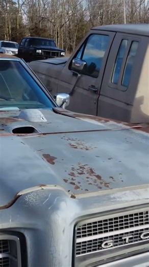 69 GTO Judge in a yard #autoarchaeology #gto #judge