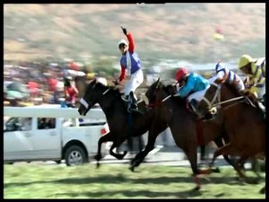 THE MAIDEN CUP SEQUENCE 2010 – 2015