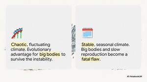 North American Megafauna Extinction: Climate, Humans, and Catastrophe...