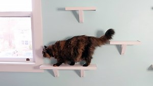 Give your cats a space to call their own with this simple idea. | DIY with Hometalk