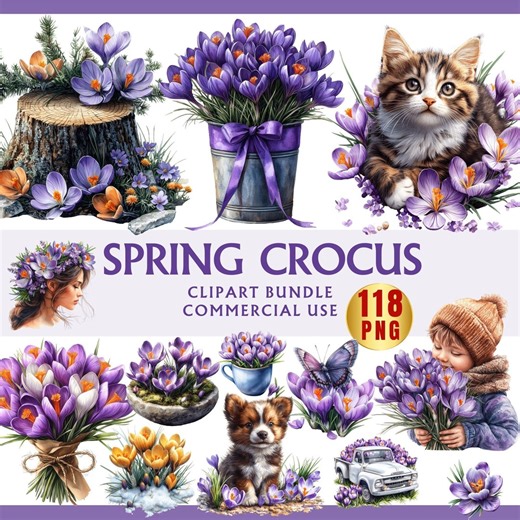 Watercolor Crocus Clipart: Spring Floral PNG Bundle (commercial Use) - Etsy