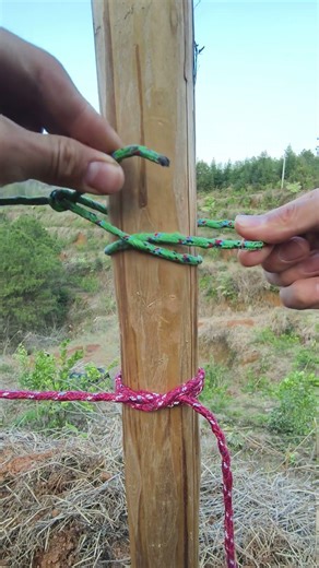 Ultra-high-tech knot-tying skills #skills #knot #tips #shorts