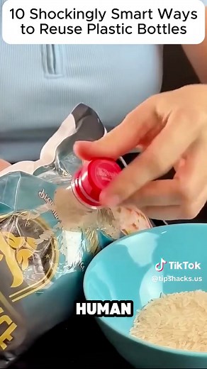 DIY Life Hacks for Everyday Solutions