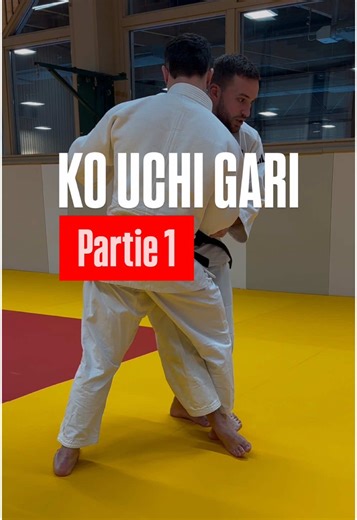 Ko Uchi Gari : Technique de Fauchage en Judo
