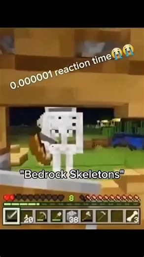 Minecraft Selection vs Me ⚔️ | Ultimate Challenge