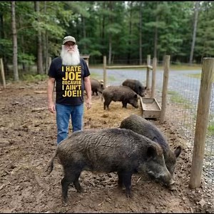 Merry Christmas hater Tom Pierce #firewood #wildboar #pigsty #dentures | Joe's Premium Firewood