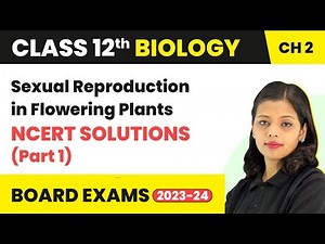 Sexual Reproduction in Flowering Plants - NCERT Solutions (Part 1) | Class 12 Biology Ch 2 (2022-23)