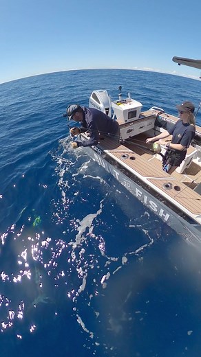 1.5M views · 6.1K reactions | The good stuff... Our latest 'Marlin Tale' live on our YT channel now! #BuiltToFish | Built to Fish TV | Facebook