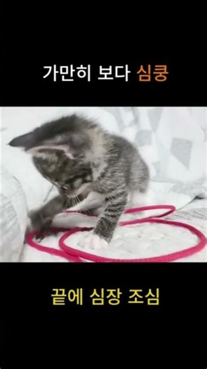 가만히 보다 심쿵