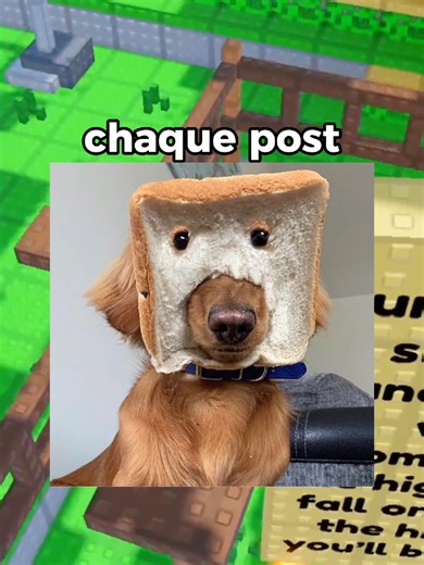 Sauvons le chat de Roblox ensemble !