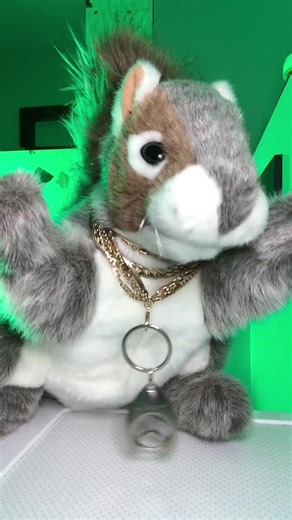 Discover the Best of Disco Polo Music