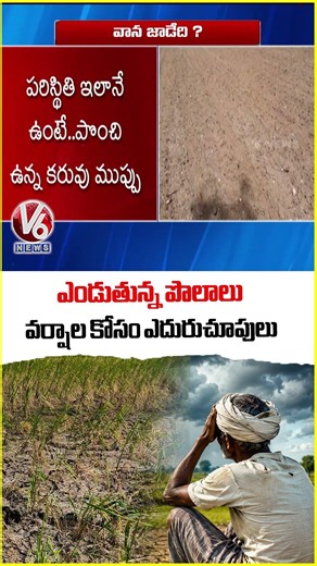 No Rains In Telangana, Farmers Worried As Fields Turns Dry | V6 News