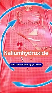 Je kan je lichaam straks laten oplossen
