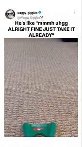 2.3K views · 10K reactions | The unknown facts about #BMW . Founding...