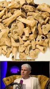 5.7K views · 61 reactions | The fox was the trickster in ancient Europe and the Near East—so why is it carved all over Göbekli Tepe? Archaeologists have found more fox bones than any other animal, suggesting a form of fox shamanism. What role did these trickster spirits play in early belief systems? Full Episode: https://youtu.be/5auZdoMrYJw?si=X9qOlkZTE3uEaYeC | Matt Beall Podcast | Facebook