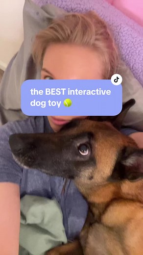 The Best Interactive Dog Toy for Belgian Malinois | Dog Mom Approved