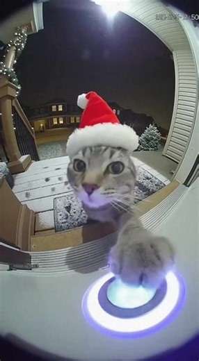 POV: he brought nothing but the audacity 🎄 #christmas