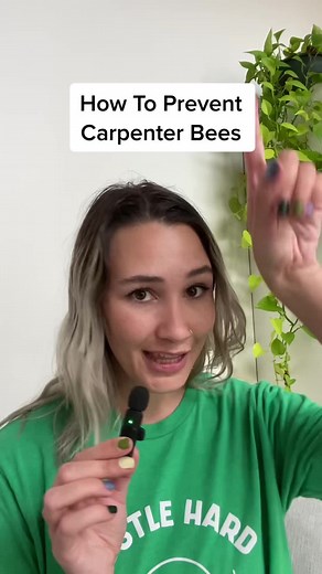 Cyzmic CS is your go-to for preventing carpenter bees this spring! #carpenterbee #carpenterbees #pestcontrol #diypestcontrol #pestcontrollife #pestcontrolservice #pestcontroltiktok