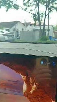 Banglo Berhantu Shah Alam? yang budak UitM sewa RM150 tu? fake news.