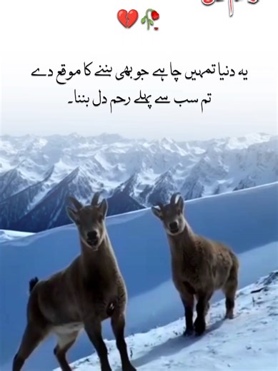 Emotional Aesthetic Video Compilation