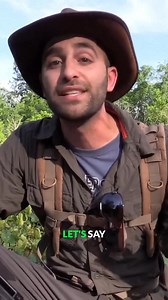 26K views · 351 reactions | Tiny owl defending its home! 黎 #burrowingowl #owls #defense #coyotepeterson | Coyote Peterson | Facebook