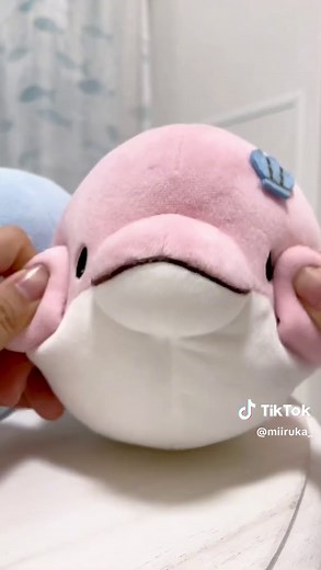 美味しいイルカのお菓子食レポ