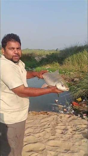 బిగ్ ఫిష్#Tappa fishing #shorts#youtube shorts