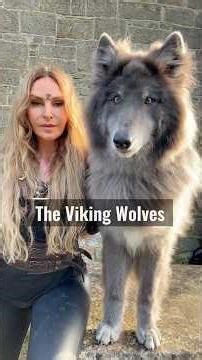 The Viking Wolves : Fenrir, Geri, Freki, Sköll and Hati ~ #vikingwolf #vikings #wolves #wolf
