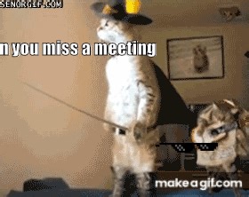 when you miss a meeting on Make a GIF