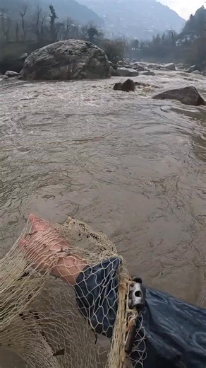 heavy rain cast net fishing 🎣☔ #fishing #castnetfishing #shorts | Wildadventure Reels