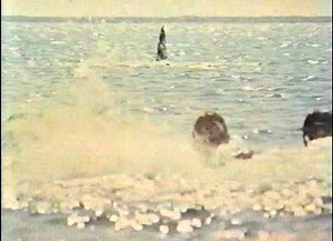 JAWS (1975) TV Spot Trailer : Free Download, Borrow, and Streaming : Internet Archive