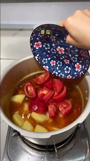 HOW TO Make Tomato Beef Brisket Stew in Pressure Cooker (BEST EASY Recipe!)