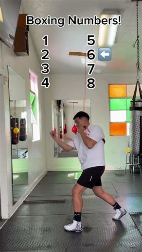 Boxing Numbers! #boxing #boxingtraining #boxinglife